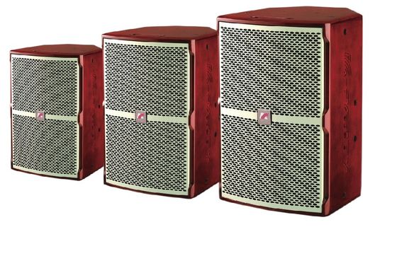 Ultra Strong Low Frequency KF Series KTV Speaker 45Hz-20KHz 250W 300W 400W Various Complex Sound