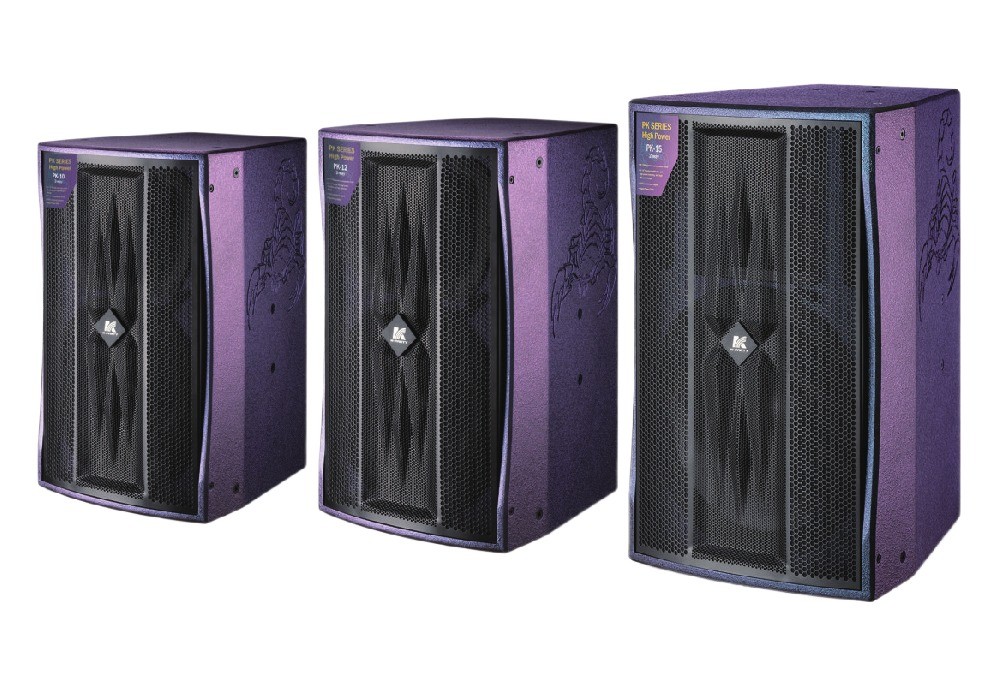 PK Series Two Way Full Frequency Speaker Birch Plywood Box Body 10 12 15 Inches
